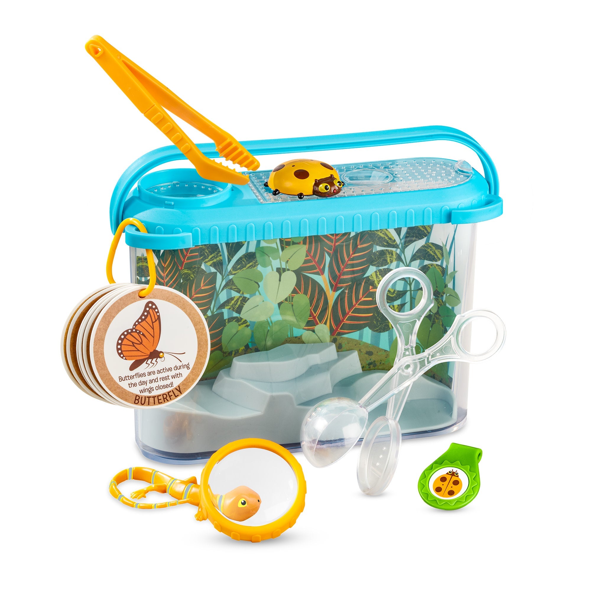 Let’s  Explore Terrarium Observations Play Set
