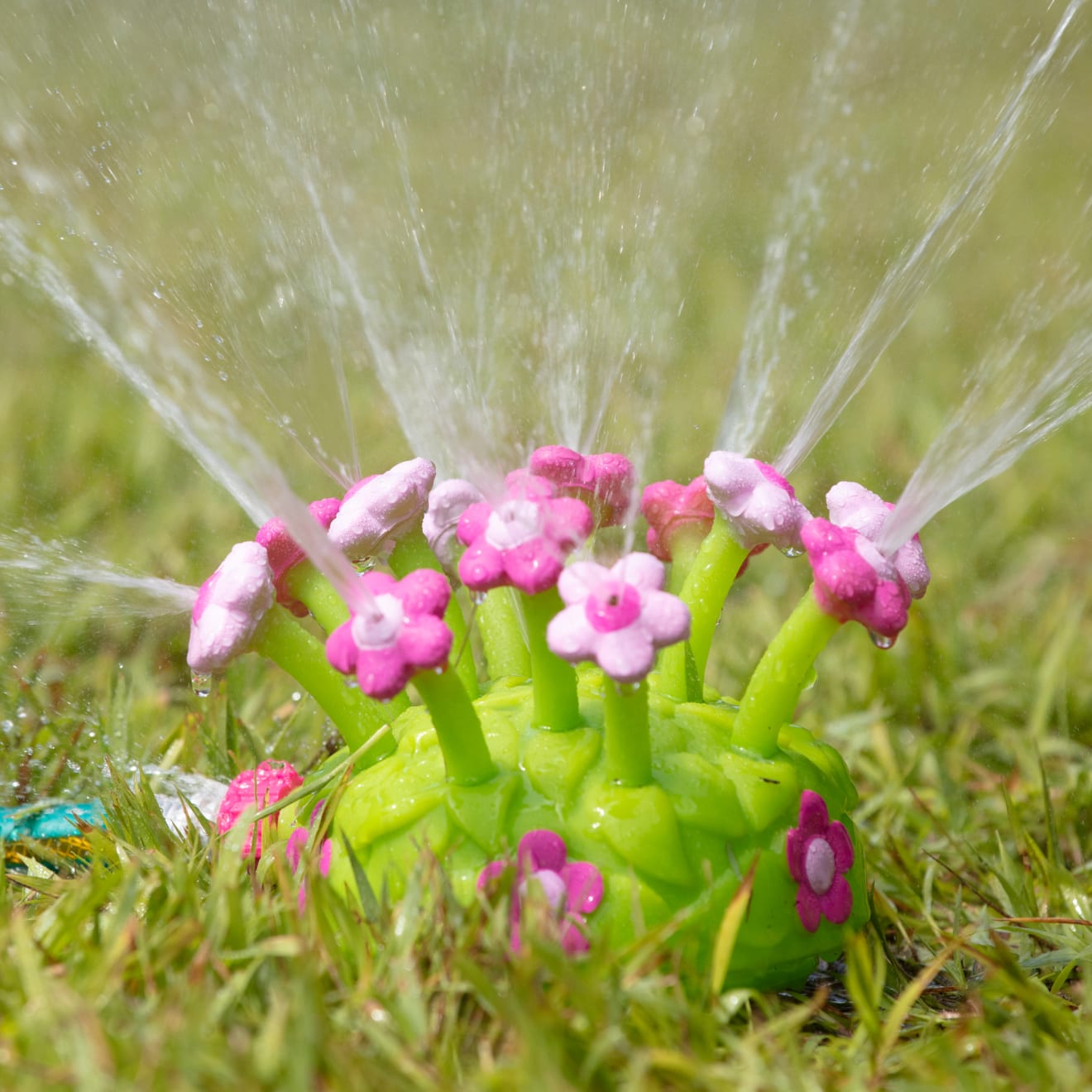 Pretty Petals Sprinkler